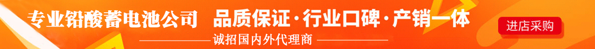 電動叉車蓄電池生產(chǎn)廠家